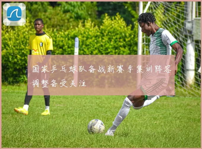 国家乒乓球队备战新赛季集训阵容调整备受关注