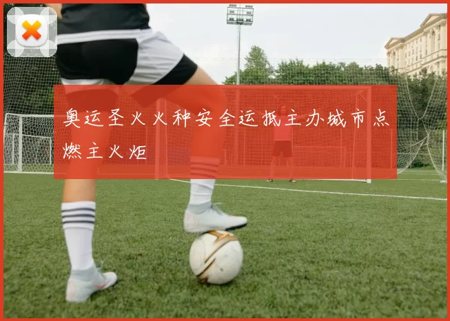 奥运圣火火种安全运抵主办城市点燃主火炬