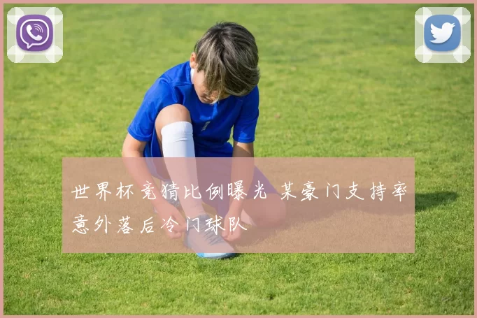 世界杯竞猜比例曝光 某豪门支持率意外落后冷门球队