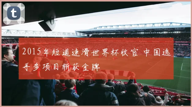 2015年短道速滑世界杯收官 中国选手多项目斩获金牌