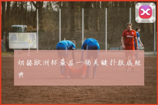 切赫欧洲杯最后一场关键扑救成经典